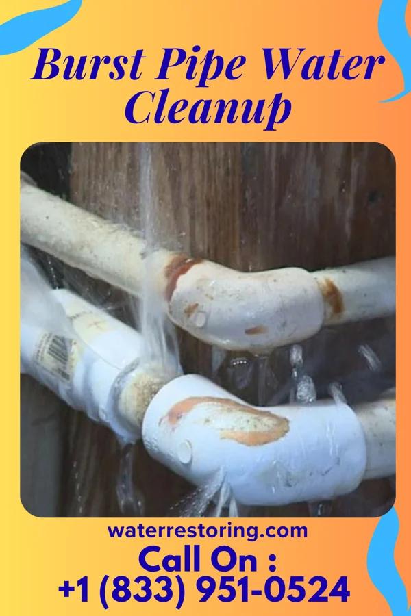 Burst Pipe Water Cleanup in Sheridan, MT