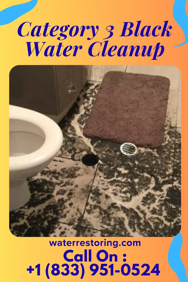 Category 3 Black Water Cleanup in Sheridan, MT