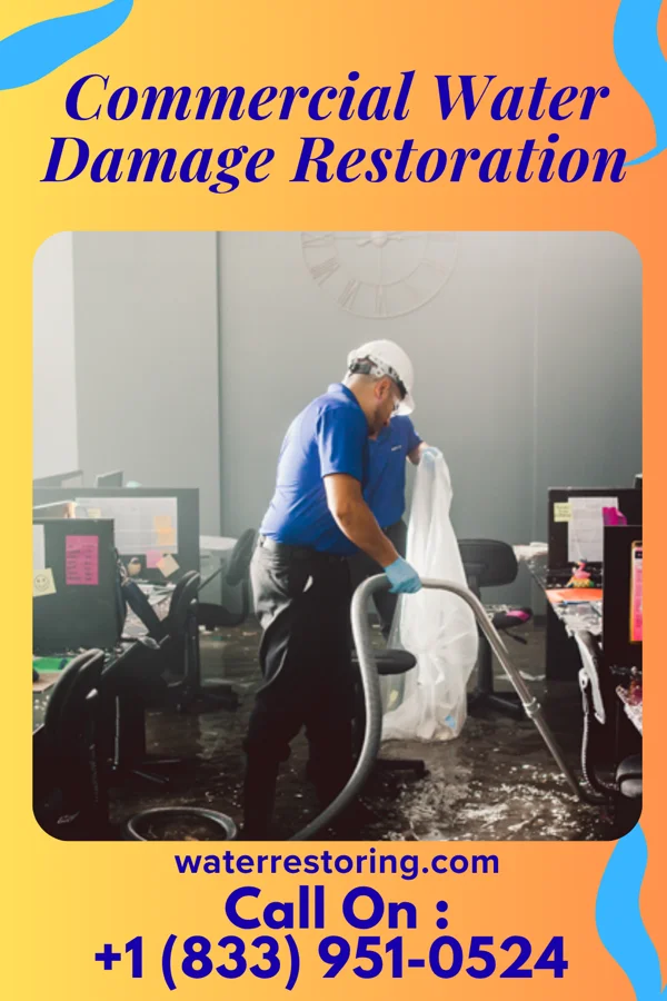 Commercial Water Damage Restoration in Sheridan, MT